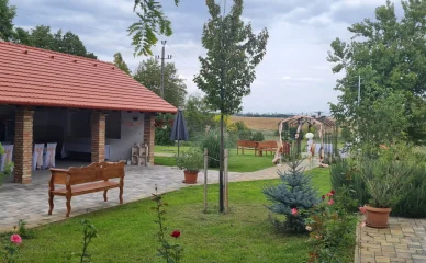 kintiesküvös kintiesküvös